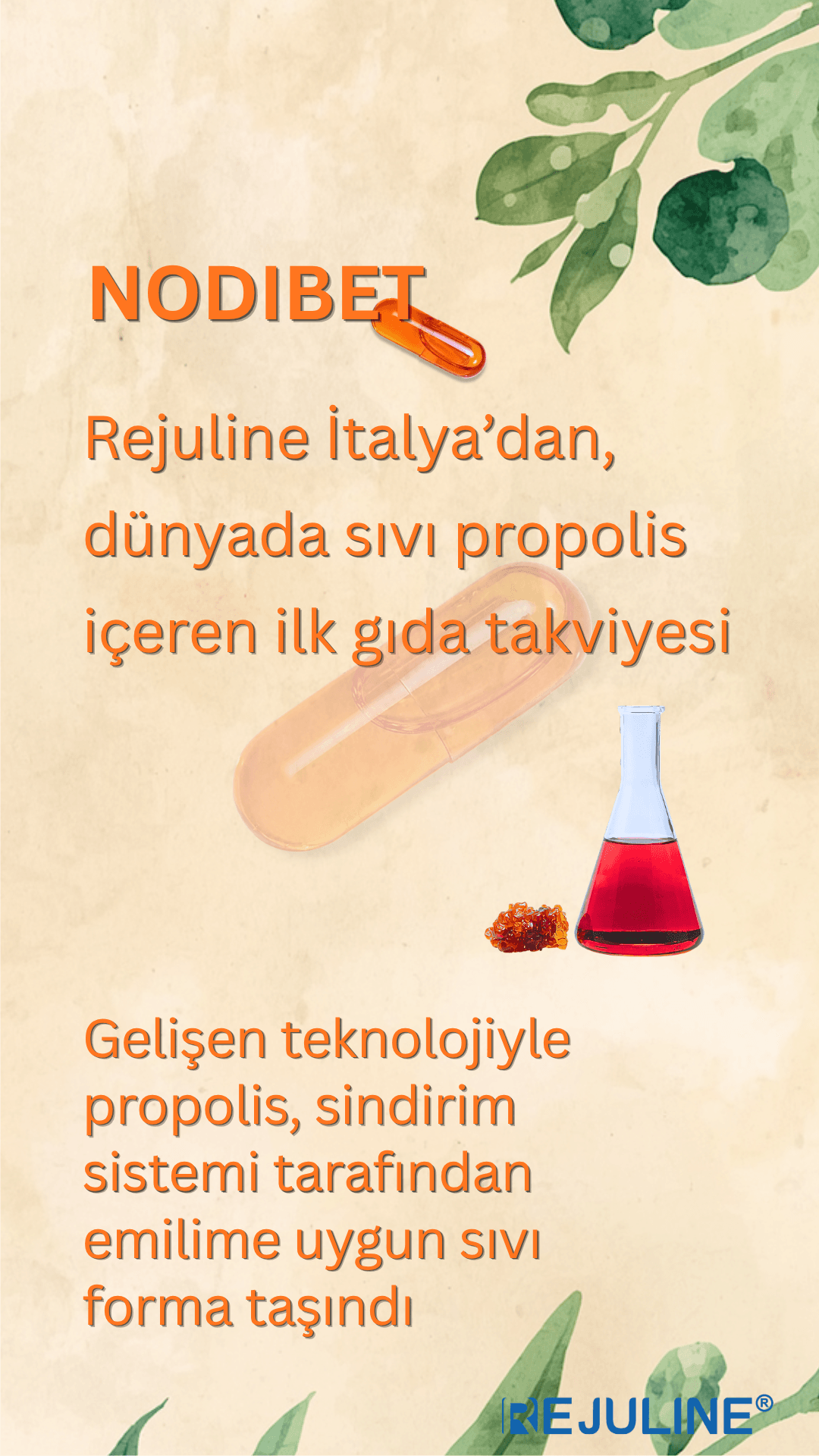 Trandyol (36)